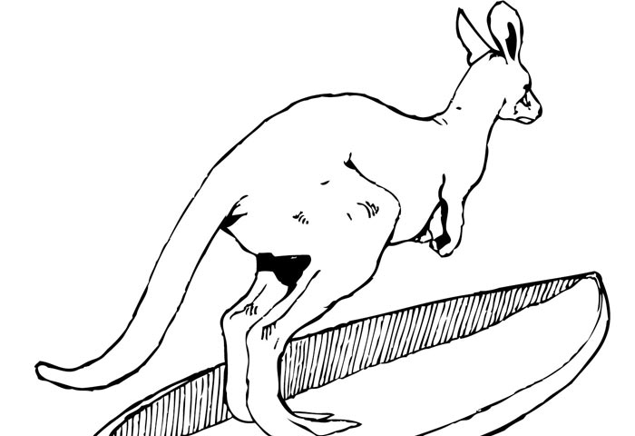Sachen-gibts-Känguru