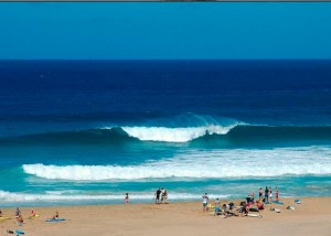 fuerteventura-surf